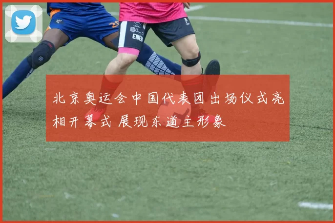 北京奥运会中国代表团出场仪式亮相开幕式 展现东道主形象